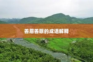 善眉善眼的成语解释