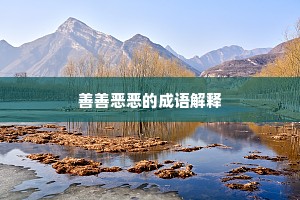 善善恶恶的成语解释