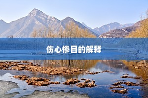 伤心惨目的解释