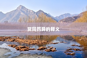 赏同罚异的释义