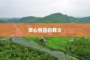 赏心悦目的释义