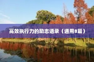 高效执行力的励志语录（通用8篇）