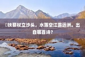 閒扶藜杖立沙头，水落空江露远洲。出自哪首诗？