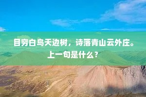 目穷白鸟天边树，诗落青山云外庄。上一句是什么？
