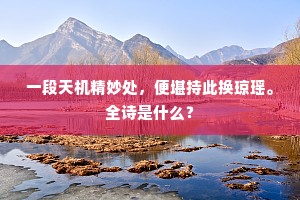 一段天机精妙处，便堪持此换琼瑶。全诗是什么？