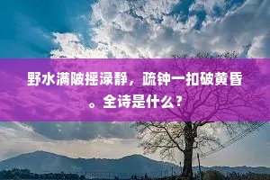 野水满陂摇渌静，疏钟一扣破黄昏。全诗是什么？