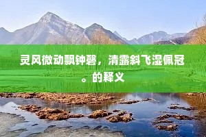 灵风微动飘钟磬，清露斜飞湿佩冠。的释义