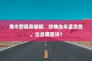 角巾野服身翩翩，彷佛当年孟浩然。出自哪首诗？