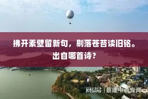 拂开素壁留新句，剔落苍苔读旧铭。出自哪首诗？