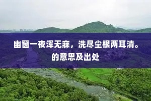 幽窗一夜浑无寐，洗尽尘根两耳清。的意思及出处