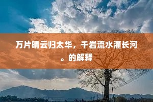 万片晴云归太华，千岩流水灌长河。的解释