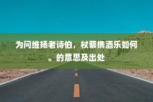 为问维扬老诗伯，杖藜携酒乐如何。的意思及出处