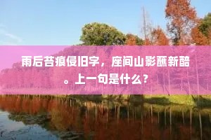 雨后苔痕侵旧字，座间山影蘸新醅。上一句是什么？