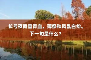 长号夜雨垂青血，薄祭秋风乱白纷。下一句是什么？