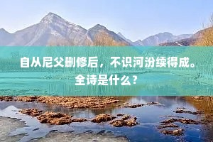 自从尼父删修后，不识河汾续得成。全诗是什么？