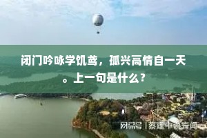 闭门吟咏学饥鸢，孤兴高情自一天。上一句是什么？