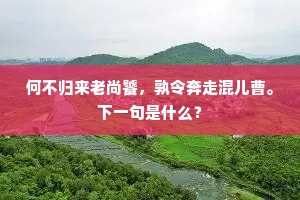 何不归来老尚饕，孰令奔走混儿曹。下一句是什么？
