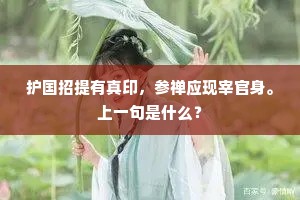 护国招提有真印，参禅应现宰官身。上一句是什么？