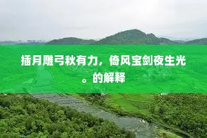 插月雕弓秋有力，倚风宝剑夜生光。的解释