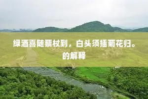 绿酒喜随藜杖到，白头须插菊花归。的解释