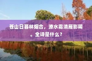 苍山日暮林烟合，潦水霜清雁影稀。全诗是什么？