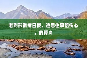 老到形骸病日侵，追思往事倍伤心。的释义