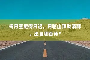 待月空庭得月迟，月临山顶发清辉。出自哪首诗？
