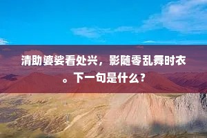 清助婆娑看处兴，影随零乱舞时衣。下一句是什么？