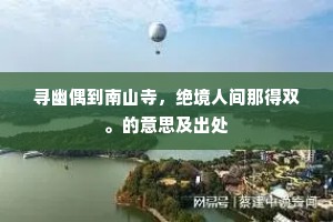 寻幽偶到南山寺，绝境人间那得双。的意思及出处