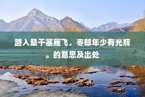 路入桑干塞雁飞，枣郎年少有光辉。的意思及出处