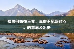 禅思何妨在玉琴，真僧不见听时心。的意思及出处