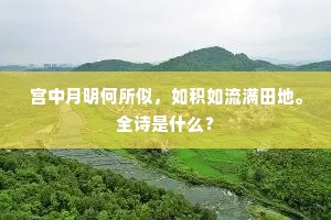 宫中月明何所似，如积如流满田地。全诗是什么？