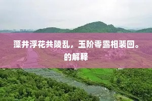 藻井浮花共陵乱，玉阶零露相裴回。的解释