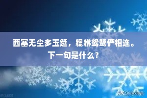 西塞无尘多玉筵，貔貅鸳鹭俨相连。下一句是什么？