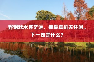 野烟秋水苍茫远，禅境真机去住闲。下一句是什么？