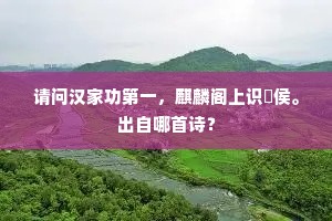 请问汉家功第一，麒麟阁上识酂侯。出自哪首诗？