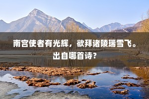 南宫使者有光辉，欲拜诸陵瑞雪飞。出自哪首诗？
