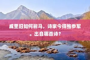 戚里旧知何驸马，诗家今得鲍参军。出自哪首诗？