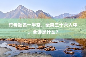 竹寺题名一半空，衰荣三十六人中。全诗是什么？