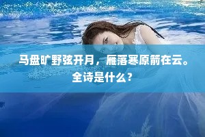马盘旷野弦开月，雁落寒原箭在云。全诗是什么？