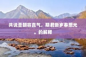 共说圣朝容直气，期君新岁奉恩光。的解释
