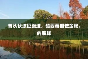 曾从伏波征绝域，碛西蕃部怯金鞍。的解释