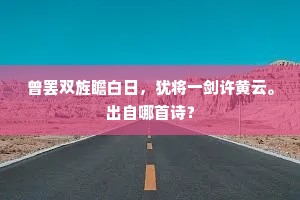曾罢双旌瞻白日，犹将一剑许黄云。出自哪首诗？