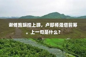 谢傅旌旗控上游，卢郎樽俎借前筹。上一句是什么？