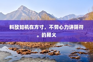 料敌知机在方寸，不劳心力讲阴符。的释义