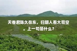 天眷君陈久在东，归朝人看大司空。上一句是什么？