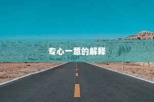 专心一意的解释