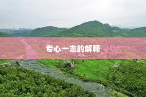 专心一志的解释