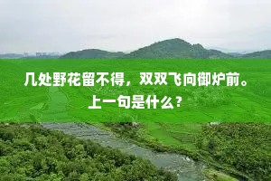 几处野花留不得，双双飞向御炉前。上一句是什么？