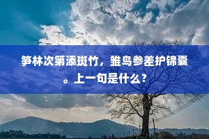 笋林次第添斑竹，雏鸟参差护锦囊。上一句是什么？